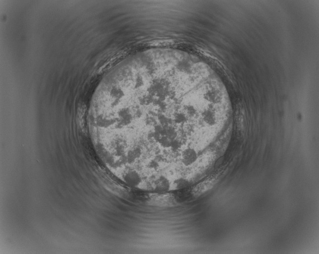 X0000066950185200604211824