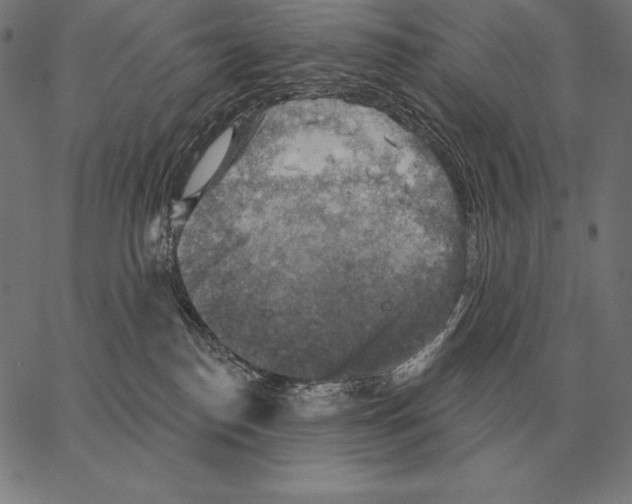 X0000066950186200604211824