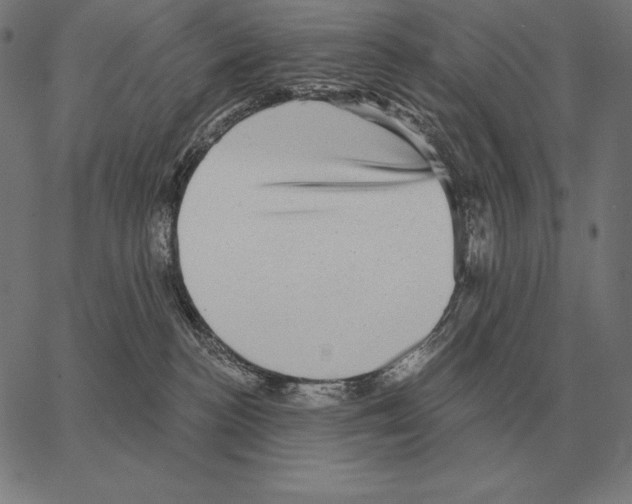 X0000066950188200604211825