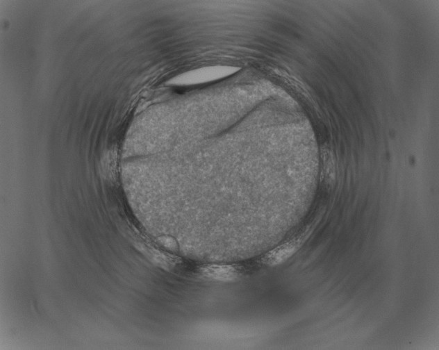 X0000066950189200604211825