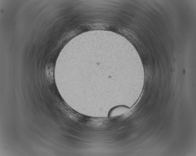 X0000066950190200604211825