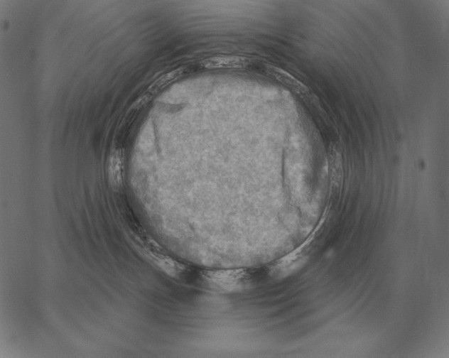 X0000066950191200604211825