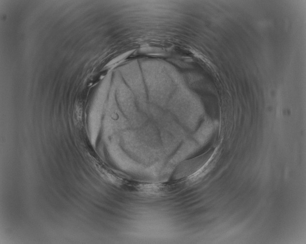 X0000066950192200604211825