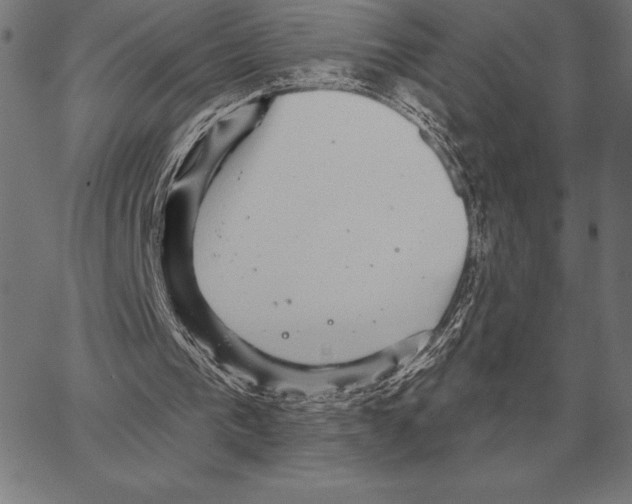 X0000066950193200604211824