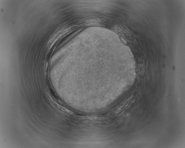 X0000066950194200604211824