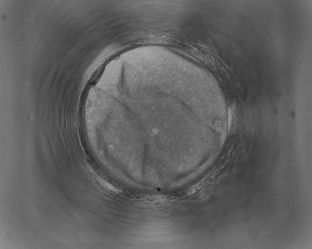 X0000066950195200604211824