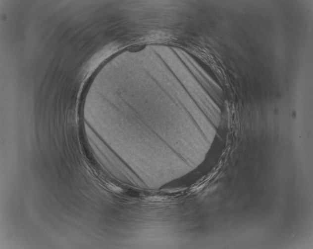 X0000066950196200604211824