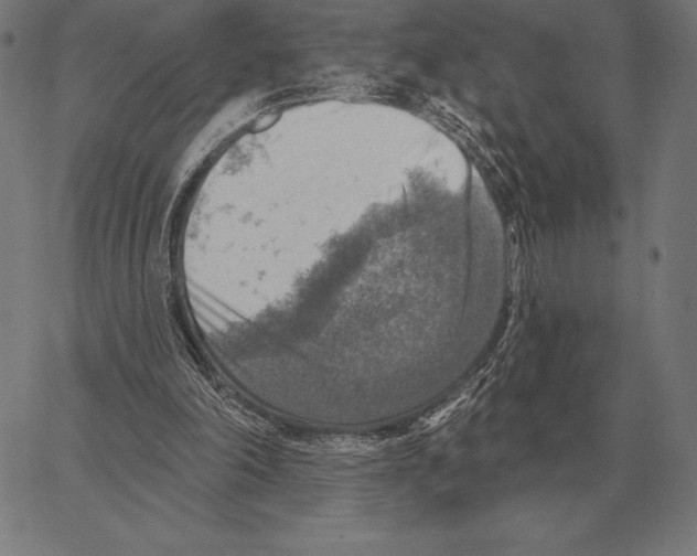 X0000066950198200604211824