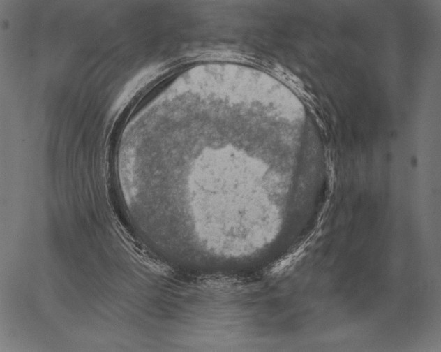 X0000066950199200604211824