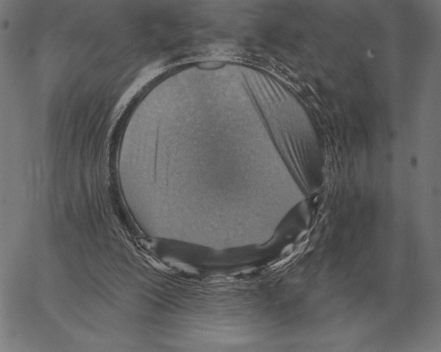 X0000066950200200604211824