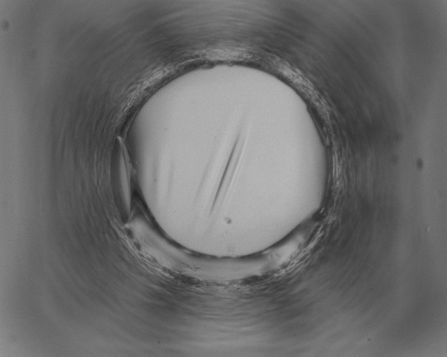 X0000066950201200604211824