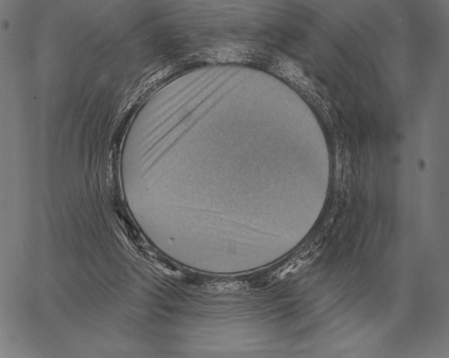 X0000066950202200604211824