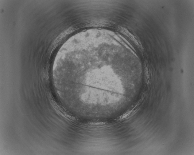 X0000066950203200604211824