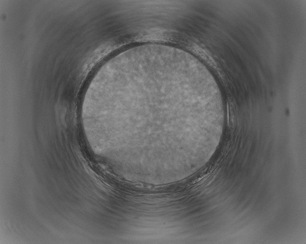 X0000066950204200604211824