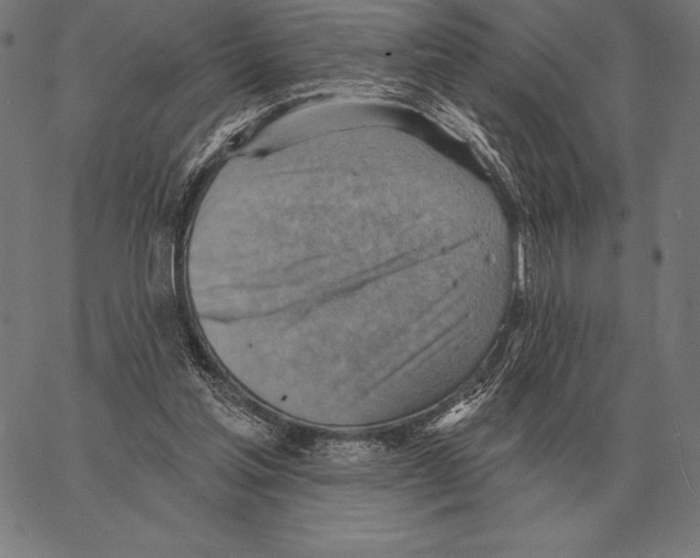 X0000066950205200604211824