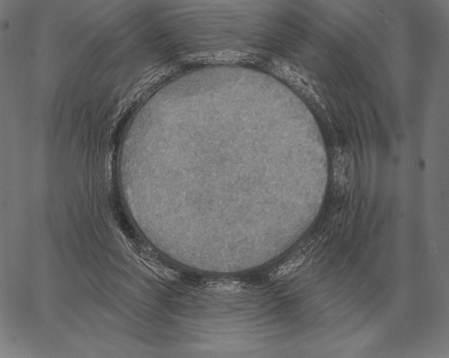 X0000066950206200604211824