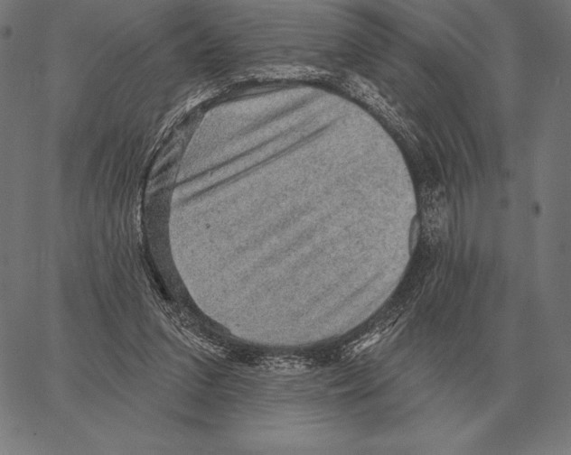 X0000066950207200604211824