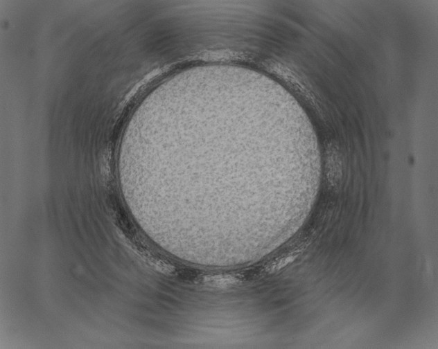 X0000066950208200604211824