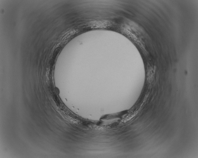 X0000066950209200604211824