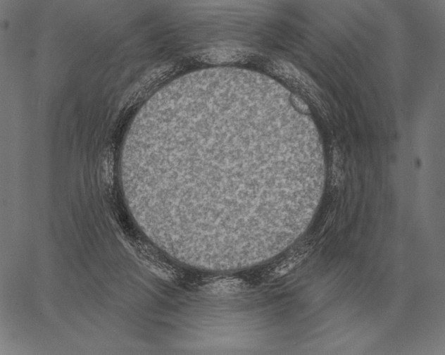 X0000066950210200604211824