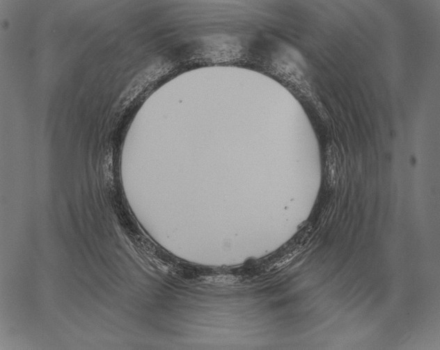 X0000066950212200604211823