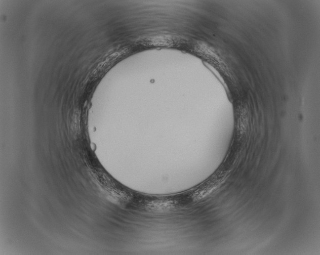 X0000066950213200604211823