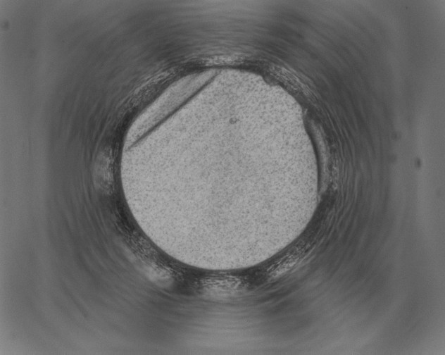 X0000066950215200604211823