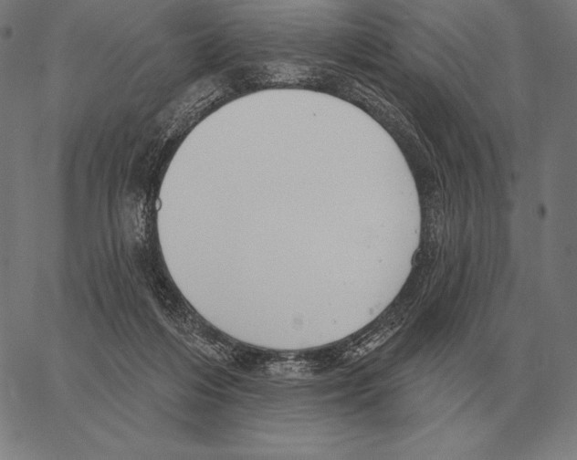 X0000066950216200604211823