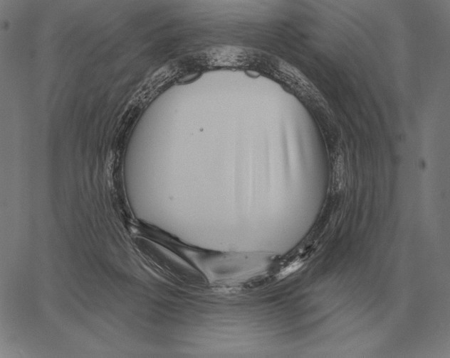 X0000066950217200604211823