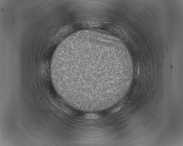 X0000066950218200604211823