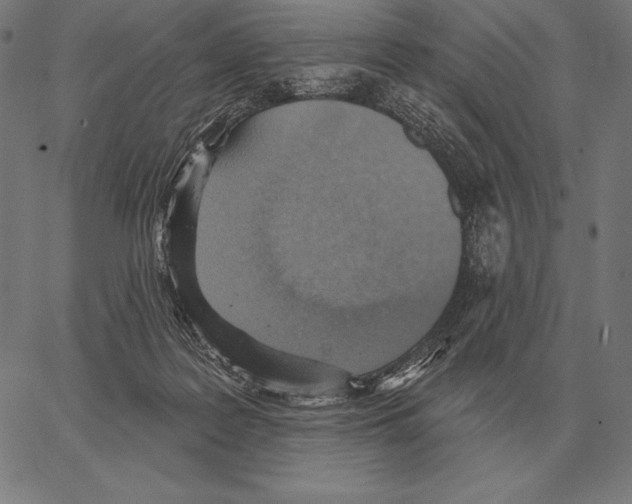 X0000066950219200604211823