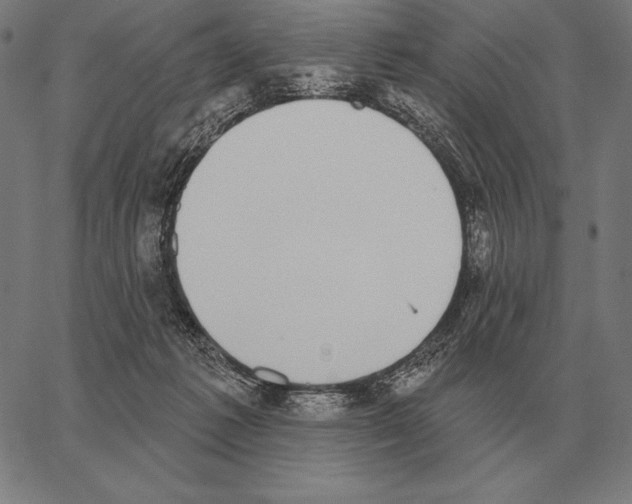 X0000066950221200604211823