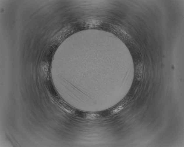 X0000066950222200604211823