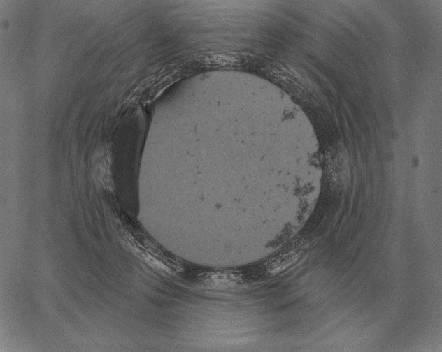 X0000066950223200604211823