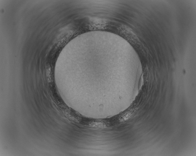 X0000066950224200604211823