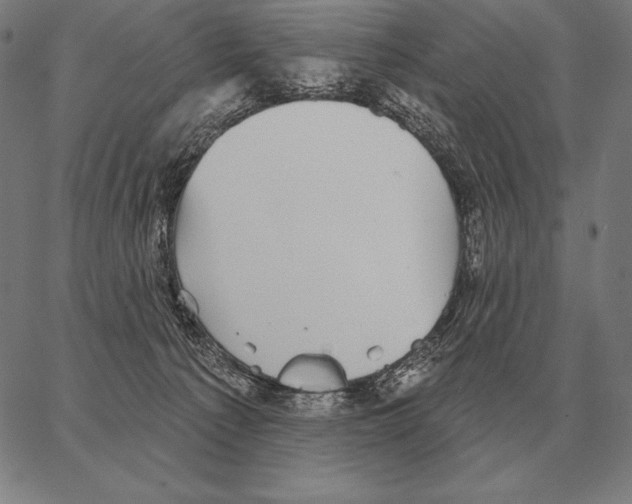 X0000066950225200604211823