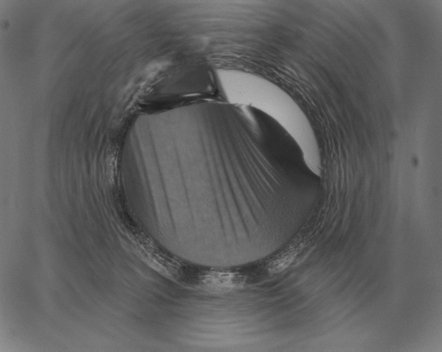 X0000066950227200604211823