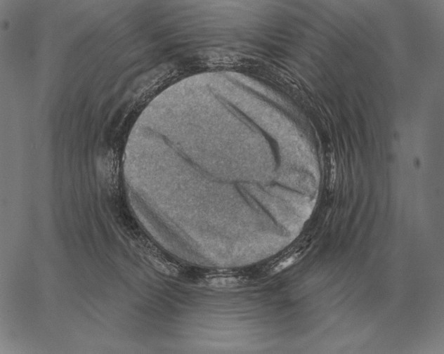 X0000066950228200604211823