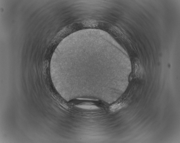 X0000066950229200604211823