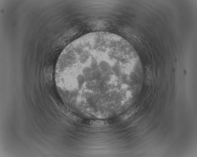 X0000066950230200604211823