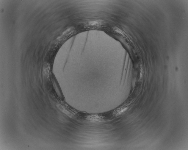 X0000066950231200604211823