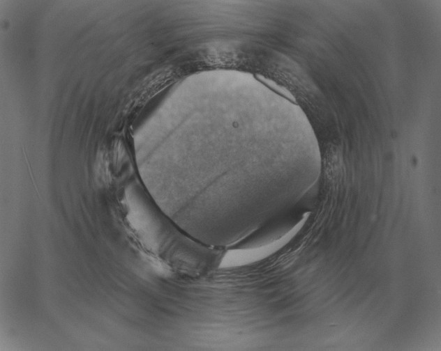 X0000066950233200604211823