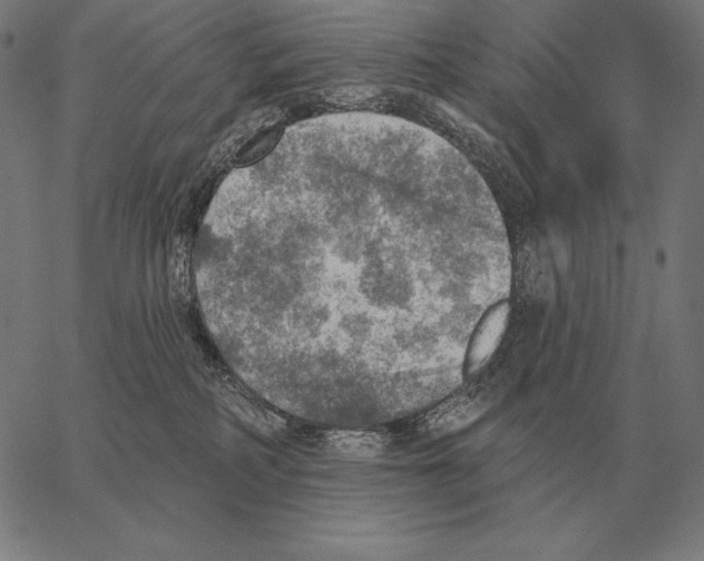 X0000066950234200604211823