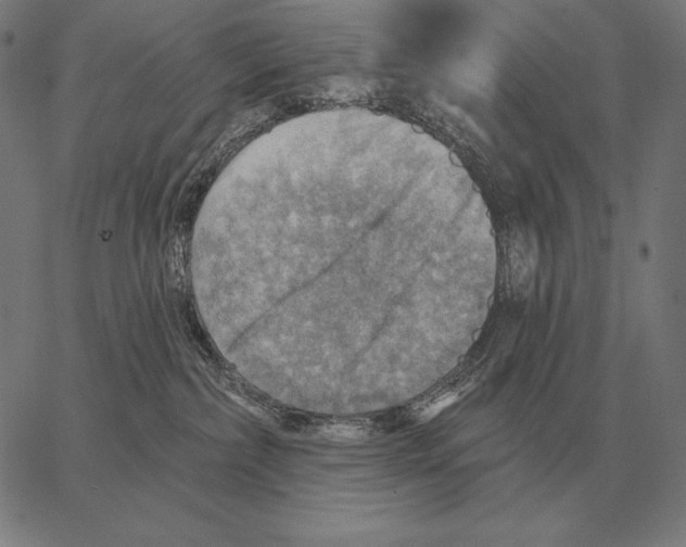 X0000066950236200604211823