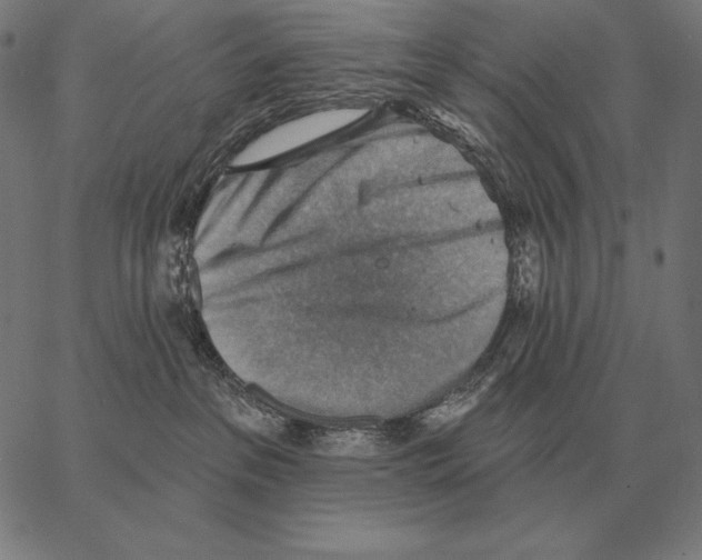 X0000066950237200604211823