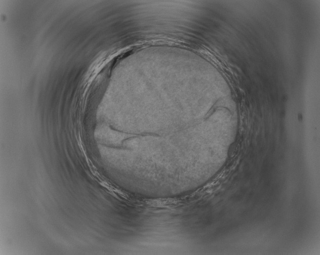 X0000066950241200604211822