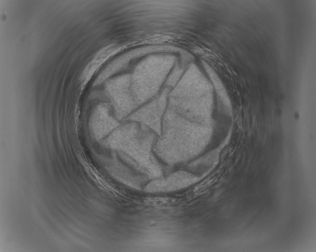 X0000066950242200604211822