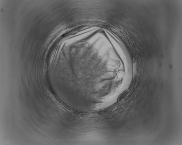 X0000066950243200604211822