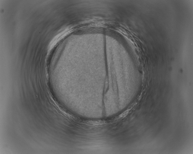 X0000066950245200604211822