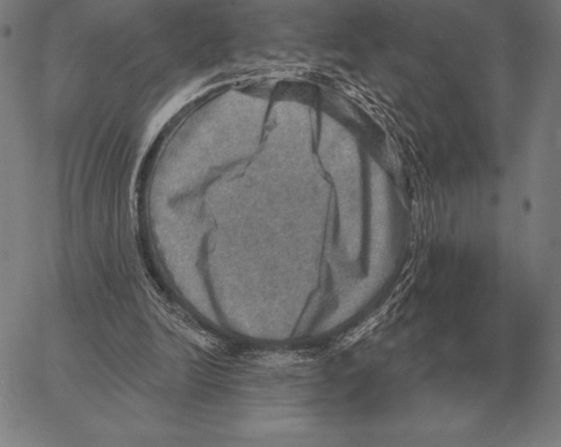 X0000066950246200604211822